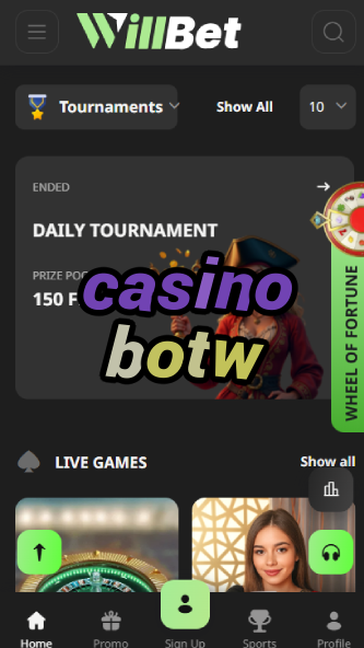 Casino BotW - Breath of Wild Casino Adventure-www.bdqngd.com